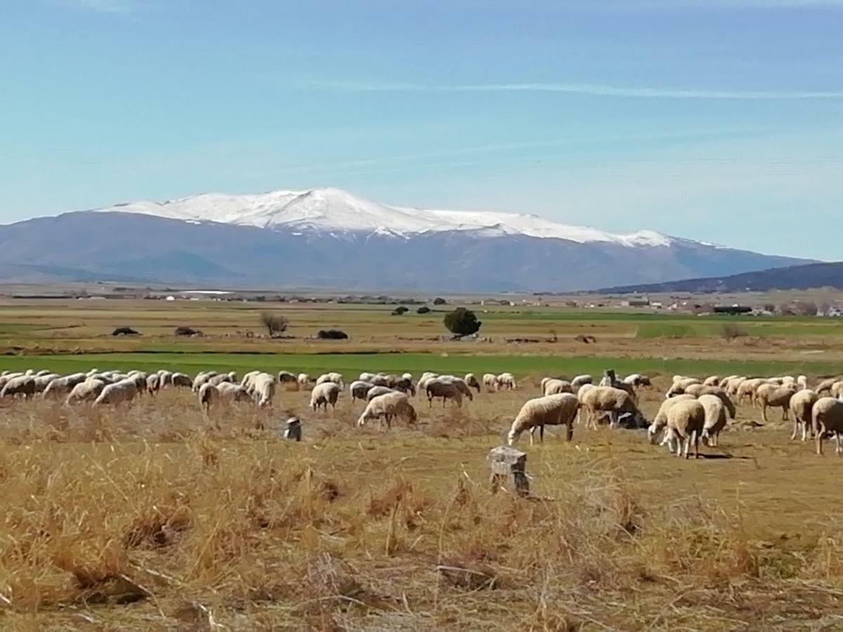 La Casa De Colores Villa Munopepe Kültér fotó